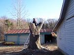 Click image for larger version.&nbsp;

Name:	100_5472.jpg&nbsp;
Views:	49&nbsp;
Size:	147.6 KB&nbsp;
ID:	7295