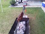 Click image for larger version. 

Name:	Ribeye Roast 3.jpg 
Views:	280 
Size:	152.2 KB 
ID:	7315