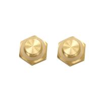 Spare Cap / Plug for AW2000-02 Air Filter: 2 pc